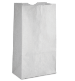 BAG PAP GROCERY 06 WHITE 500CS 
WB06