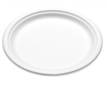 PLATE PAPER 10" WHITE 500CS  BGRPW10 PFASFREE
