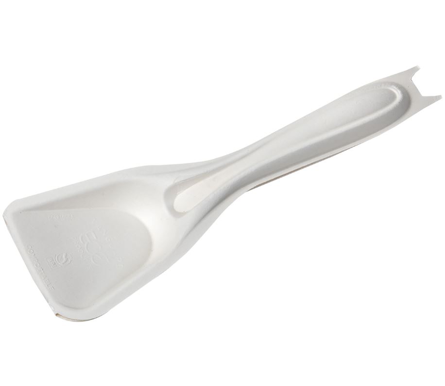 CUTLERY FIBER SPOON SRVNG 10&quot;  100CS EP-SCSP10NFA