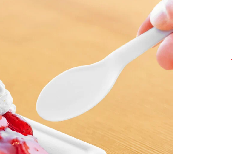 CUTLERY TPLA SPOON 6" 1M EP-S013