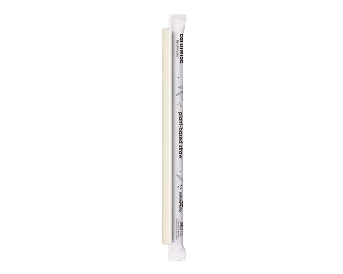 STRAW PLANT 7.75 JUMBO WRAPPED  3200C