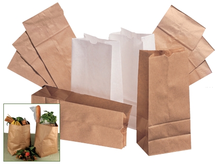 10201-BAG PAPER GROCERY 